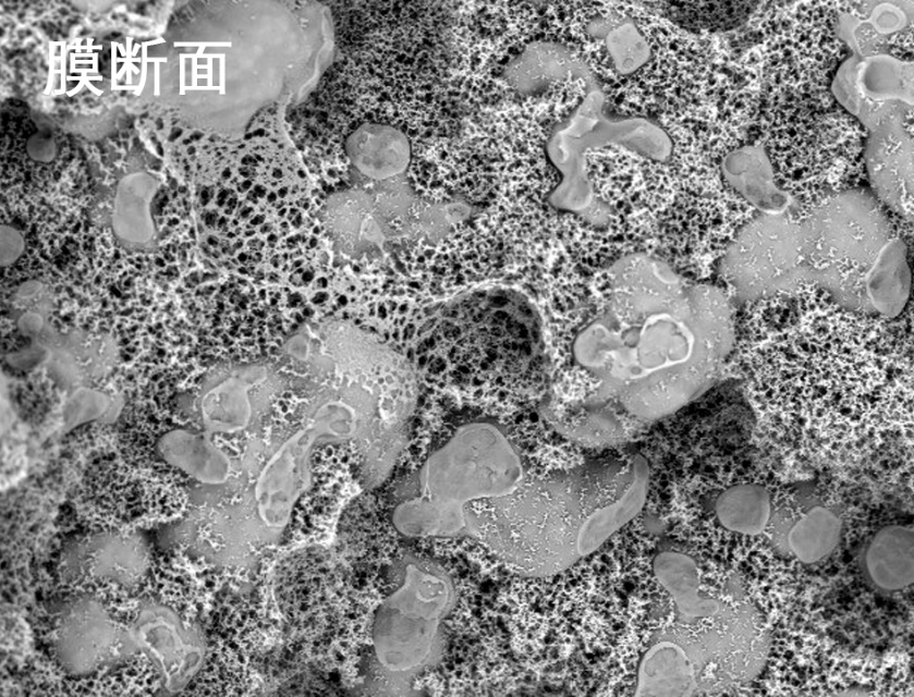 腾博会官网烧结管式膜电镜照片