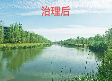 腾博会官网 - 诚信为本,专业服务!